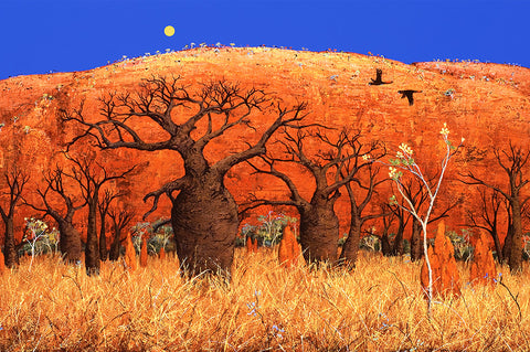 ......."Boabs and kapok"....... - Windram Art 