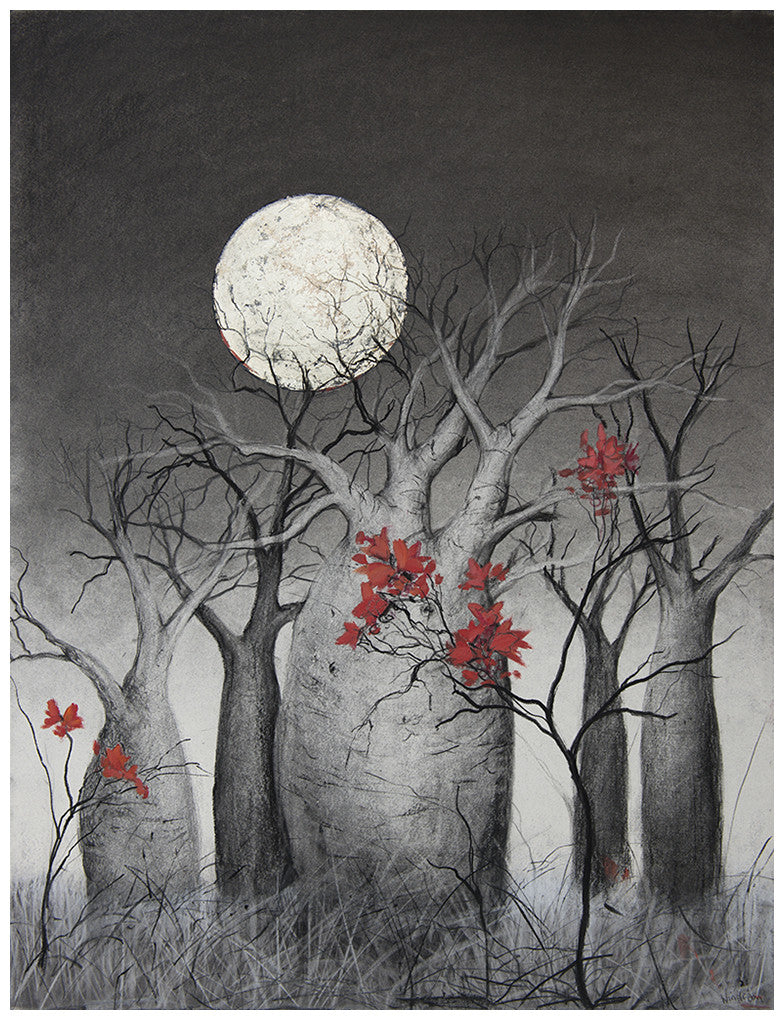 "Boabs and Kurajong" - Windram Art 