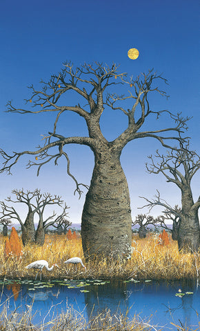 "Brolgas and the Boab Trees" - Windram Art 