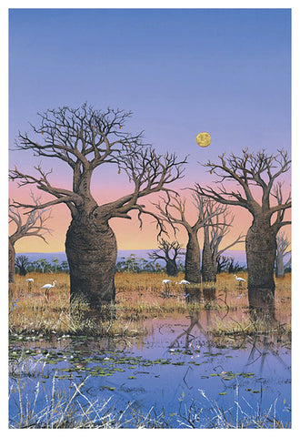 "Brolgas and The Kimberley Moon II" - Windram Art 