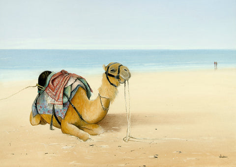 "Honey on Cable Beach" - Windram Art 