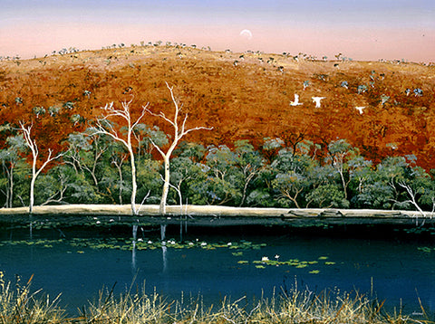 "Kimberley Waterlilies" - Windram Art 