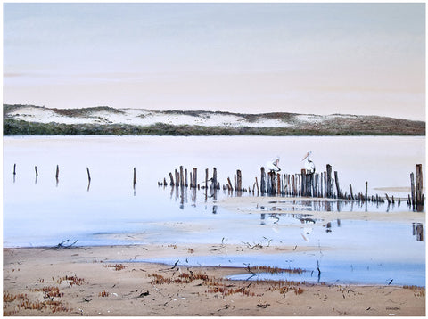 "Pelicans" - Windram Art 