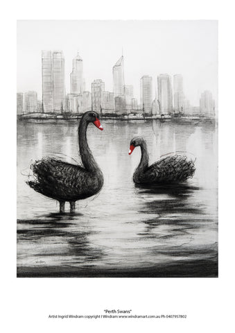 Perth Swans - Windram Art 